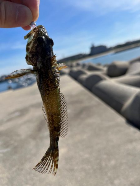 小物デイゲーム