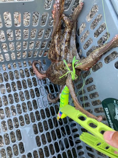 ⭐︎そろそろ苦潮気配