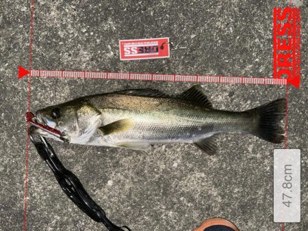 勝手にBlueBlueシバリしてみた！