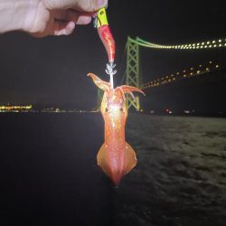 待ってました^_^