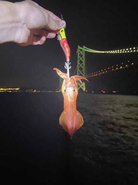 待ってました^_^