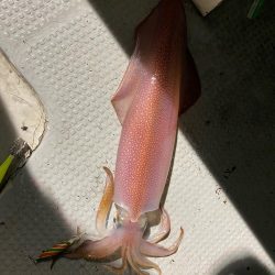 釣りの旅初日大剣狙い