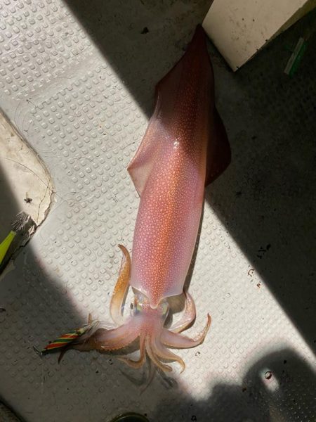 釣りの旅初日大剣狙い