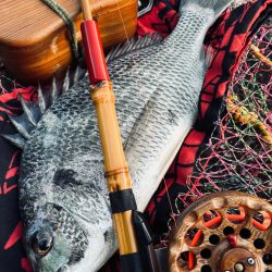 ヘチってきました