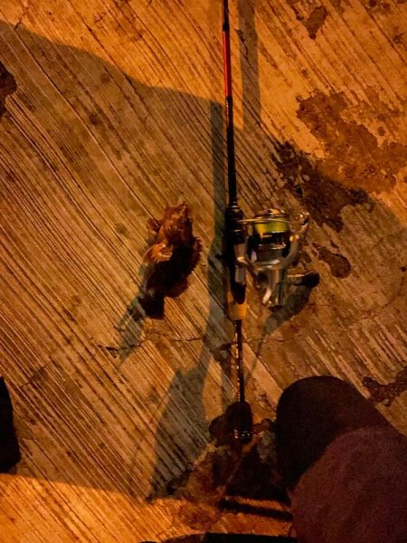 パターンつかめず　ガッシーくん