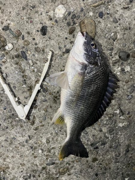 原点にして頂点。