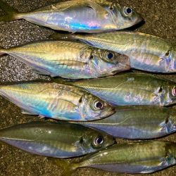 今夜も雨、でも行く！笑