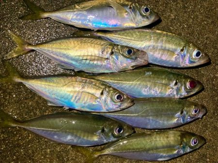 今夜も雨、でも行く！笑
