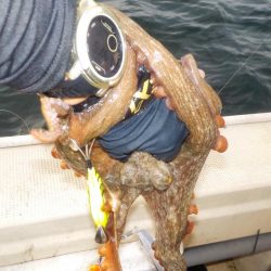 船タコ最終戦〜盛和丸〜