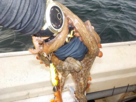 船タコ最終戦〜盛和丸〜