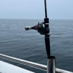 暴風雨イカメタル