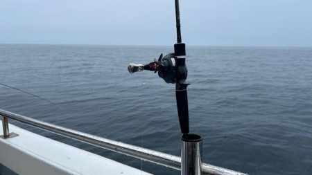 暴風雨イカメタル