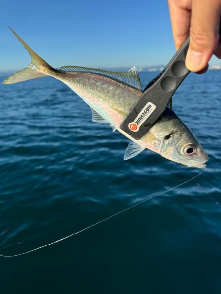 ボートアジング