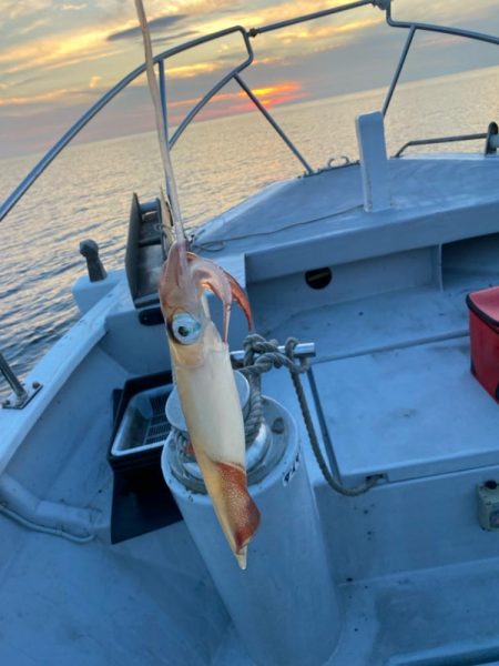 鳥取イカメタルリベンジ