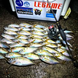 数釣りアジング