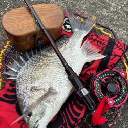 ヘチってきました