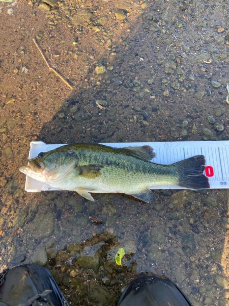 灼熱の琵琶湖で