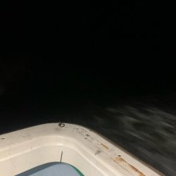 イカメタルandオモリグ