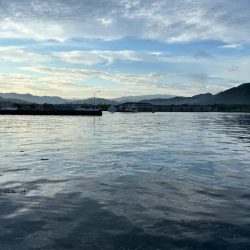 アジに魅せられて