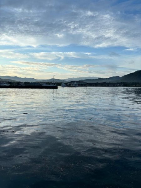 アジに魅せられて