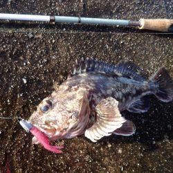 武庫一のBIG登場!