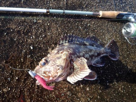 武庫一のBIG登場!