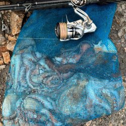 オクトパッシング5