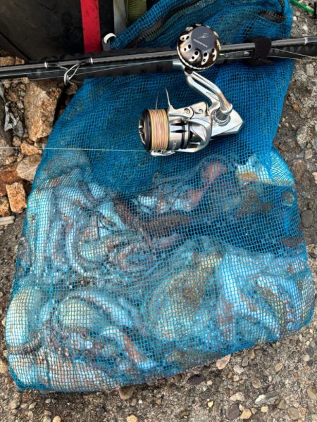 オクトパッシング5