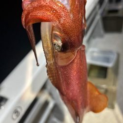 去年のリベンジは出来たかな