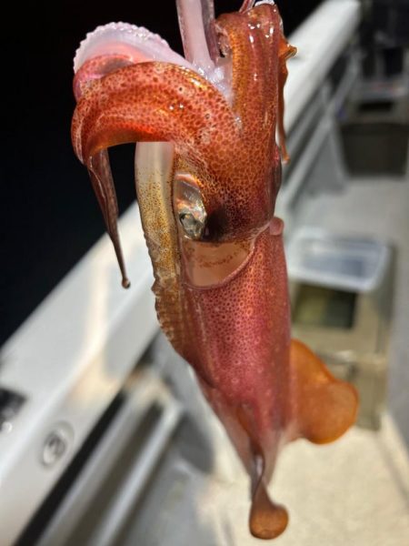 去年のリベンジは出来たかな