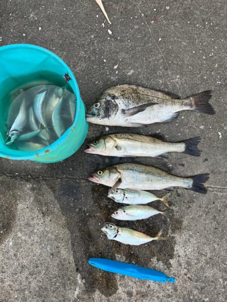 エビ撒き 活性高いです