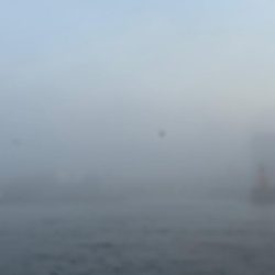 タコ　中型以上がパラパラ