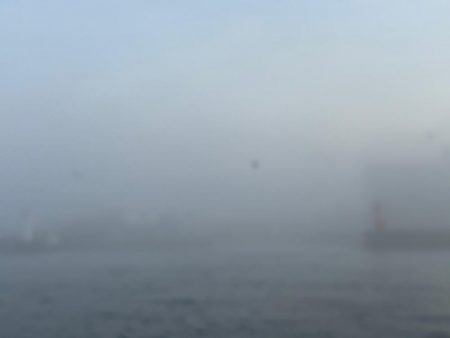 タコ　中型以上がパラパラ