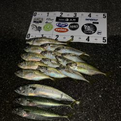 しごおわボートアジング