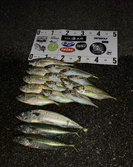 しごおわボートアジング