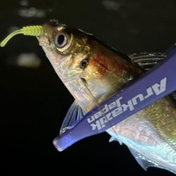 再調査アジング