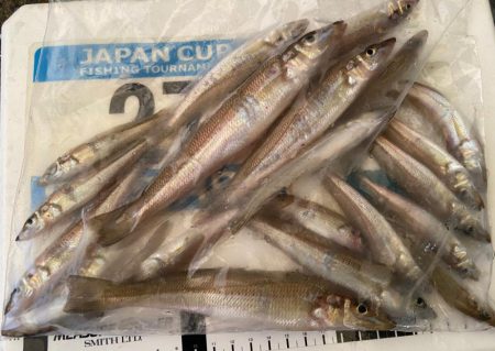 シロギスタ、本庄浜竜宮城で玉手箱