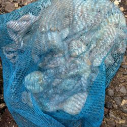 オクトパッシング6