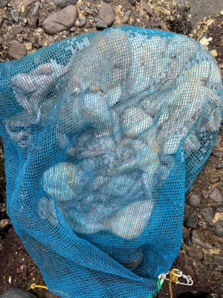 オクトパッシング6