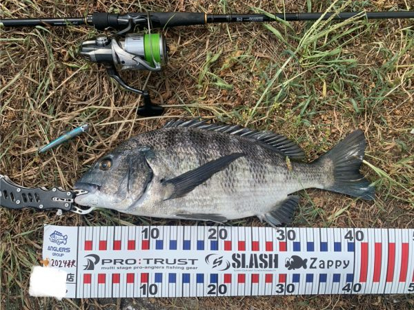 スウィングウォブラー四連発