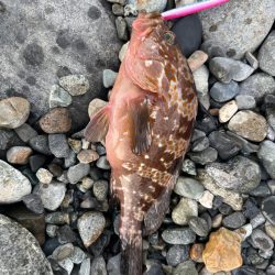 君じゃないんだけど、まあいいか