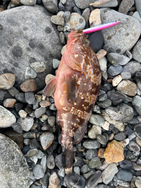 君じゃないんだけど、まあいいか