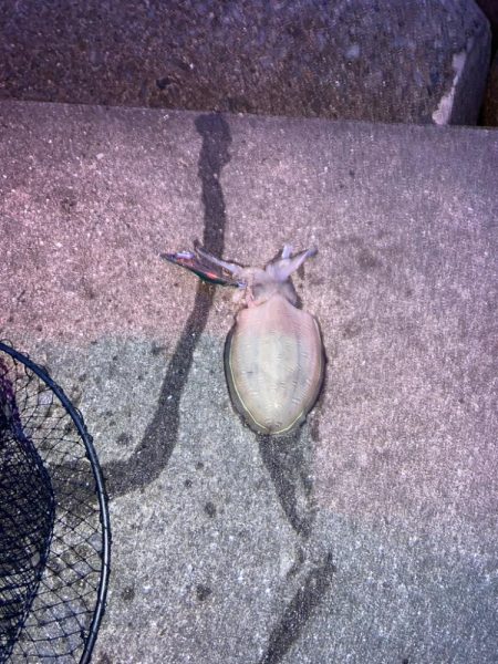 パッとしません