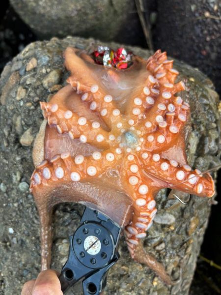 オクトパッシング11