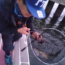 早朝良かったのに