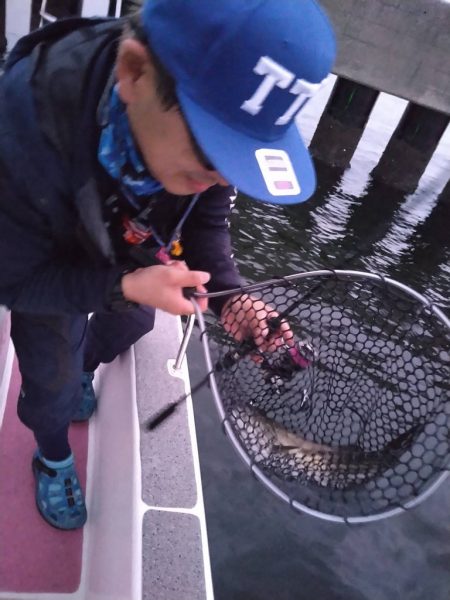 早朝良かったのに