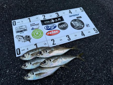 仕事終わりのボートアジング