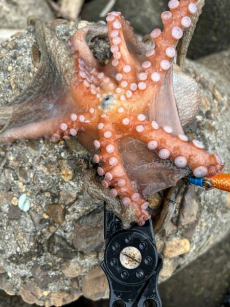 オクトパッシング10