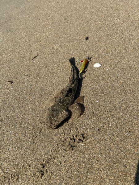 8耐後にこちらも耐久レース！