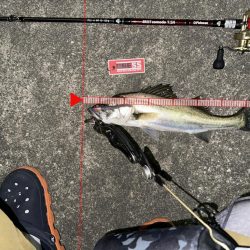 1hだけの入れ食いモード